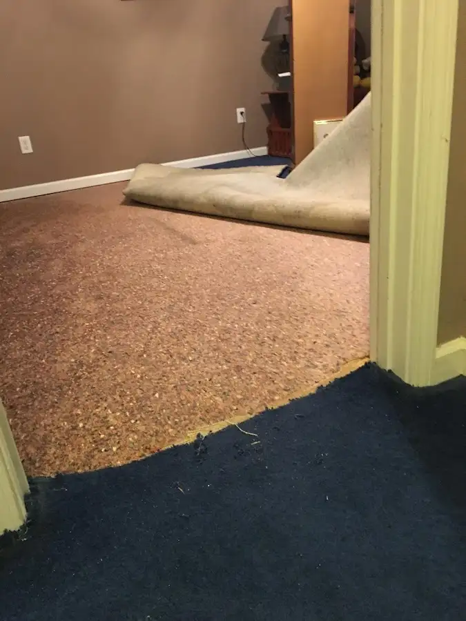 Carpet pad removal revealing water damage during Drying & Dehumidification in McCordsville